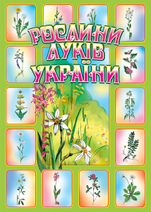 Природознавство 6 клас - Будна Н.О. Ілюстрація Підручники для школи Природознавство 6 клас - Будна Н.О.