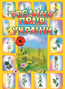 Природознавство 4 клас - Будна Н.О. Методика викладання Підручники для школи Природознавство 4 клас - Будна Н.О.